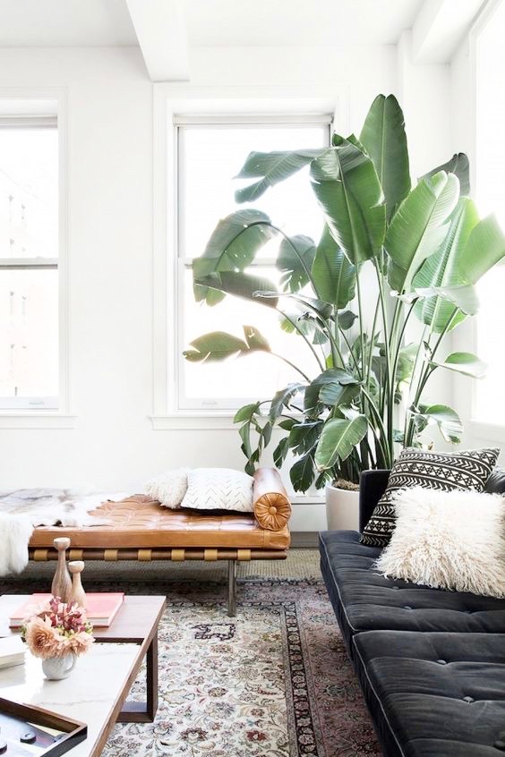 greenery