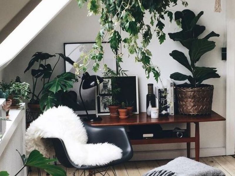 greenery